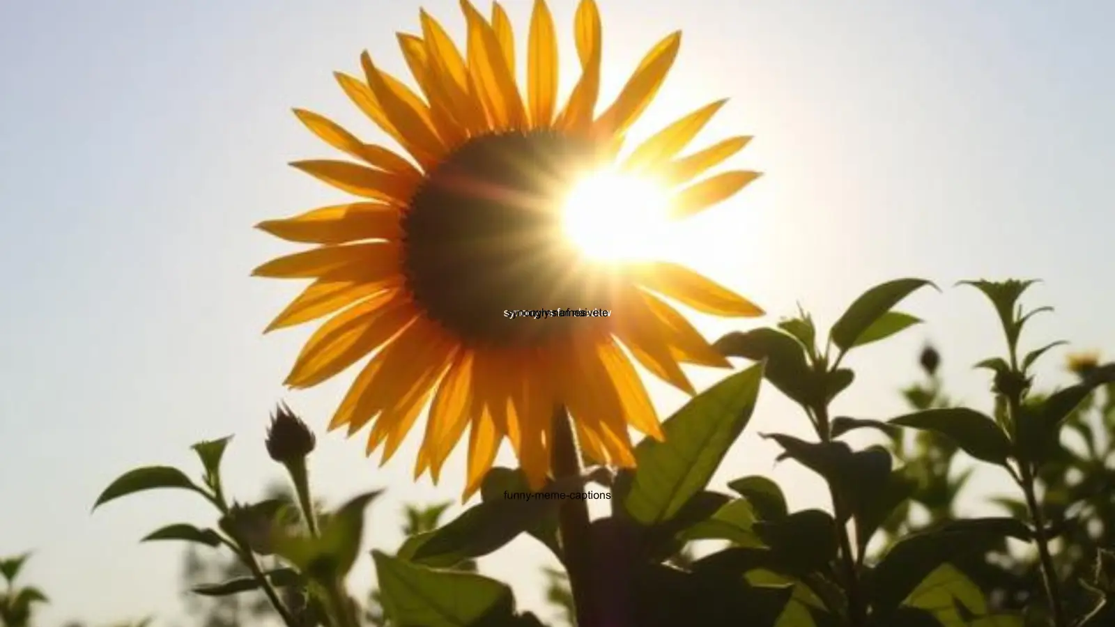 names meaning sun